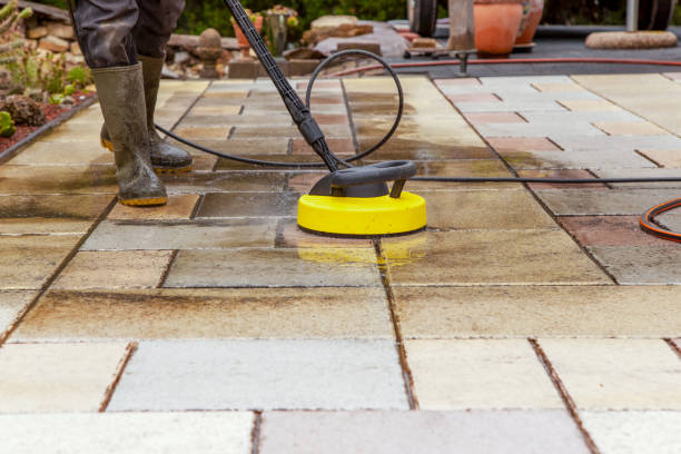Best Pre-Holiday Cleaning  in Evans, GA